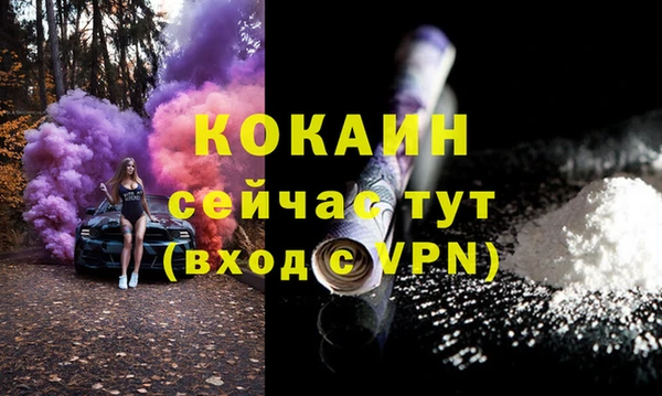 спиды Богородск