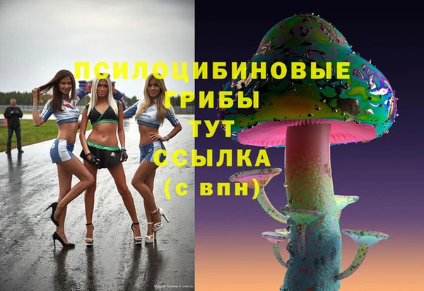 спиды Богородск