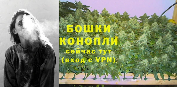 спиды Богородск