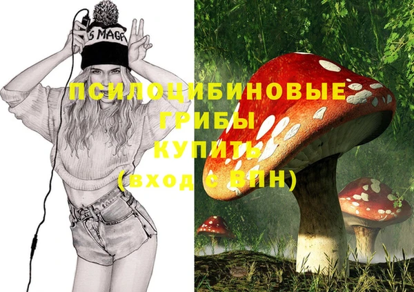 ГАЛЛЮЦИНОГЕННЫЕ ГРИБЫ Богородицк