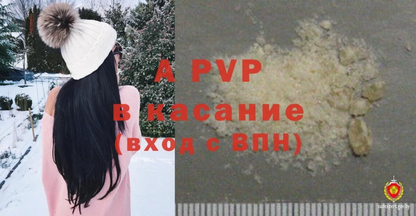 спиды Богородск